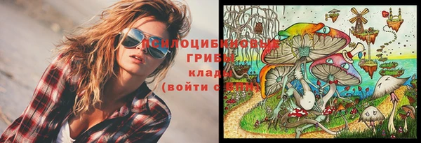 скорость Алексин