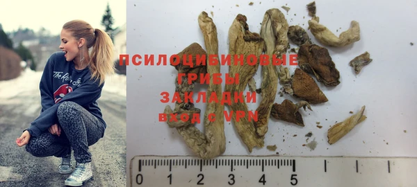 дурь Алексеевка