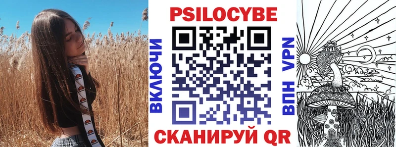 ссылка на мегу как войти  Трубчевск  Псилоцибиновые грибы Cubensis 